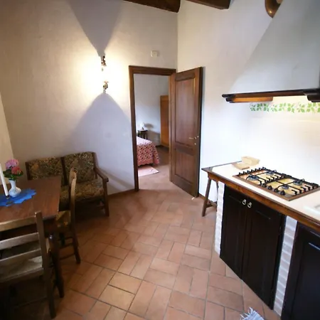 With Pool And Beautiful Garden