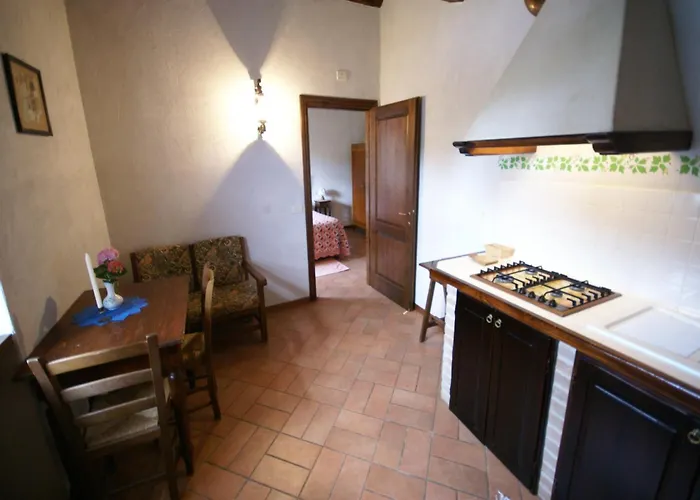 With Pool And Beautiful Garden